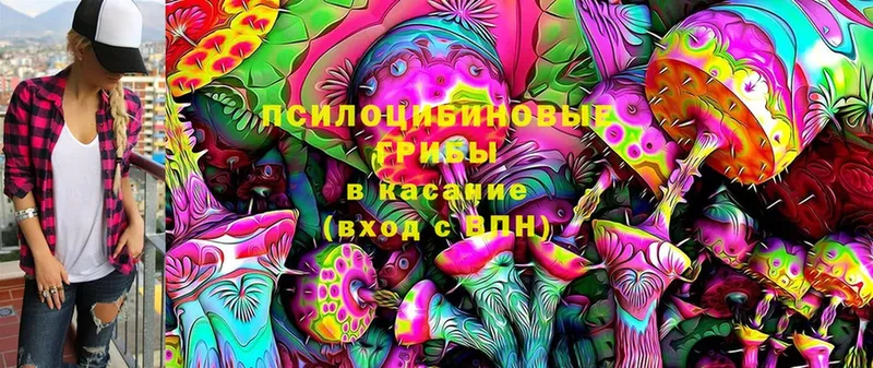 где купить наркоту  дарк нет формула  Галлюциногенные грибы MAGIC MUSHROOMS  Камбарка 